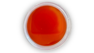 Maple Sriracha